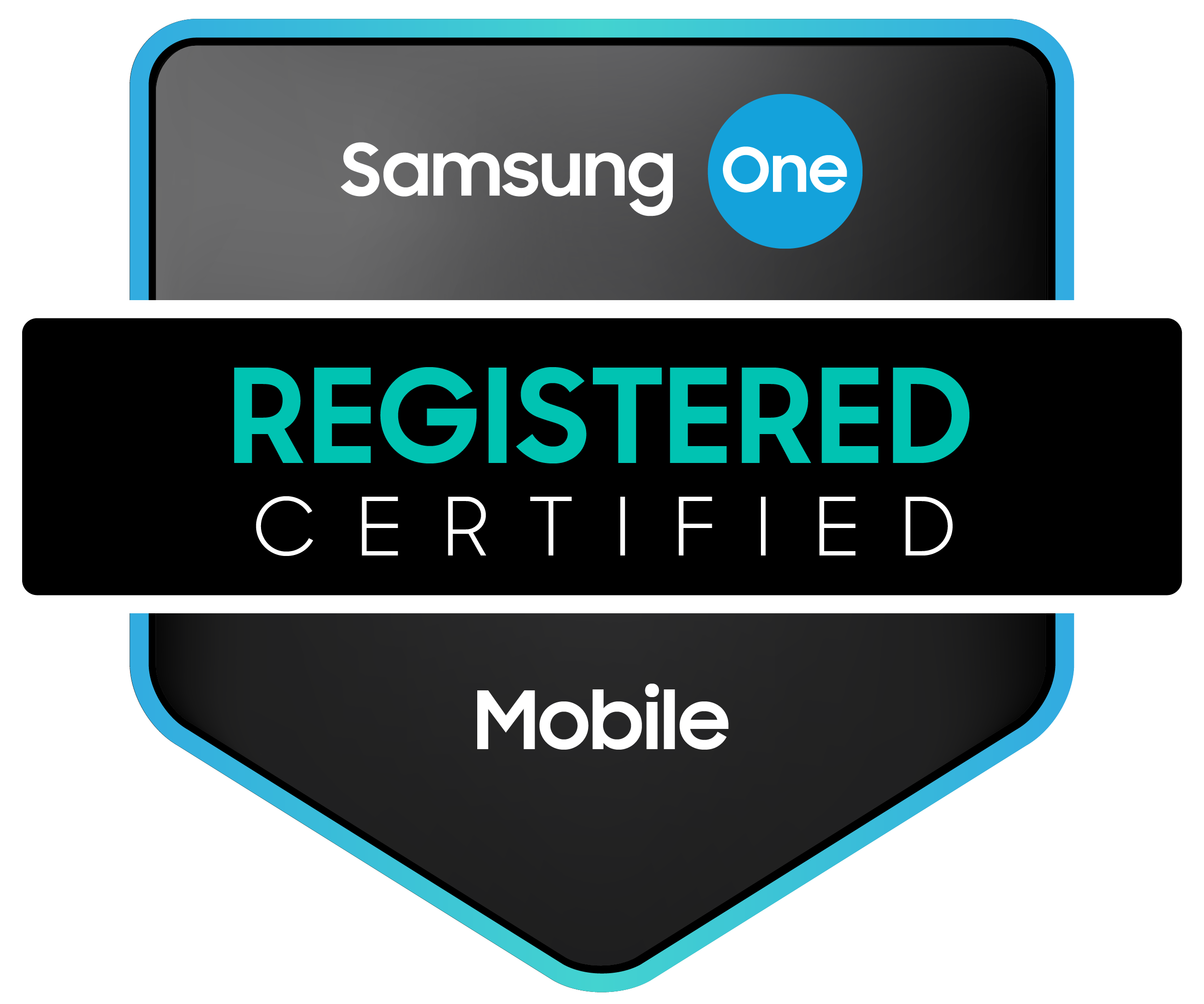 Samsung ONE Registered Partner Samsung ONE Registered Partner